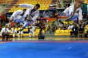 Sensationelle Erfolge bei der Shotokan WM in Mexiko!